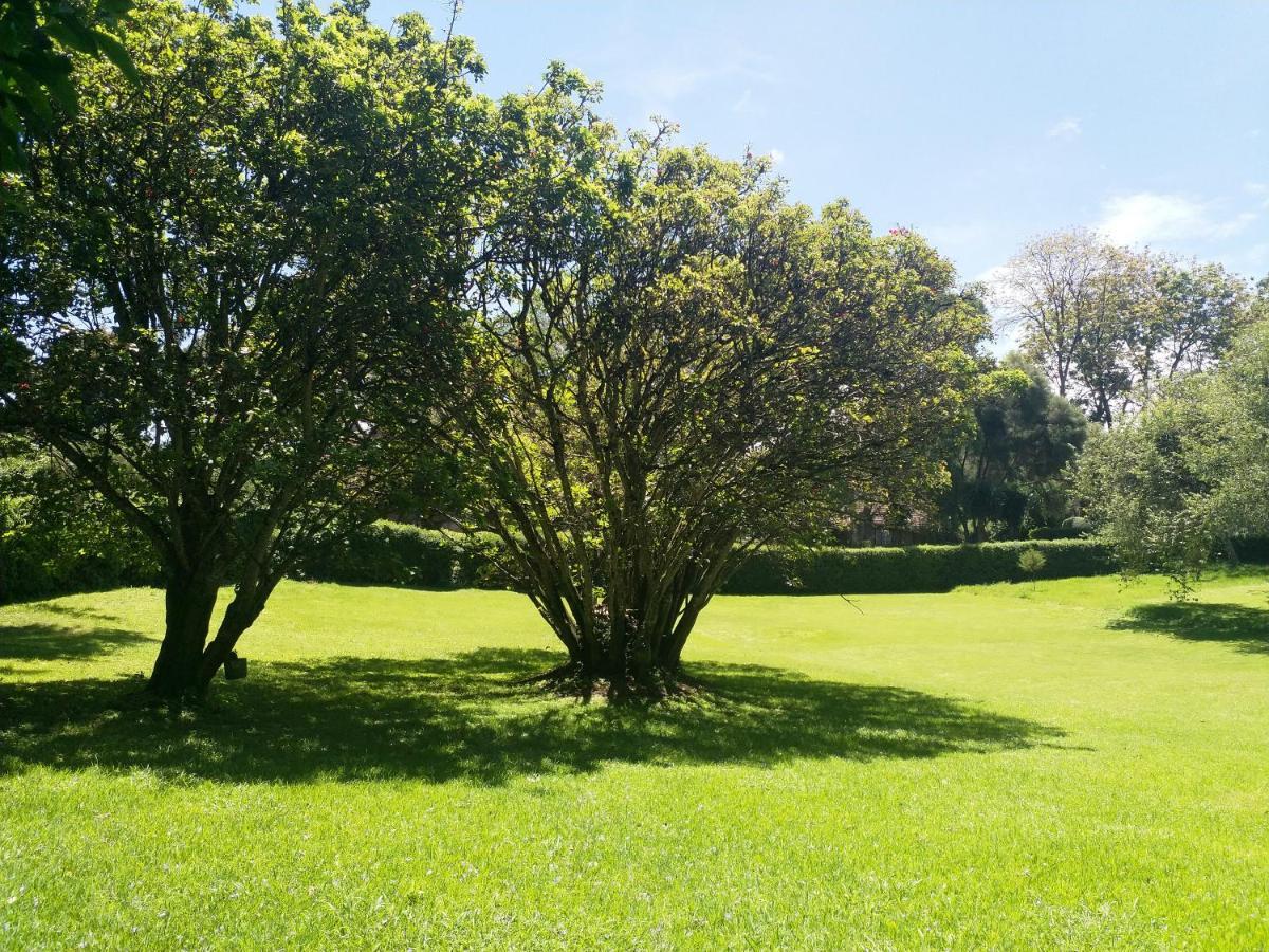 לימורו Thayu Farm Hotel מראה חיצוני תמונה